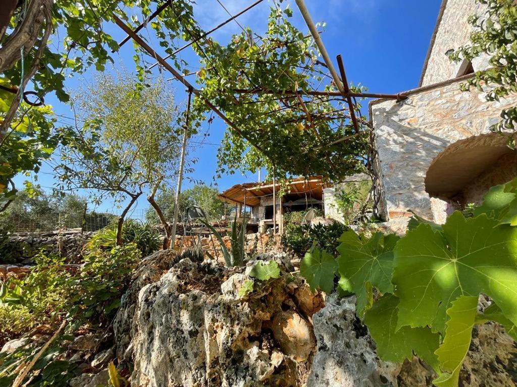 Find Your Peace In A Traditional Country House!! Λάγια Εξωτερικό φωτογραφία