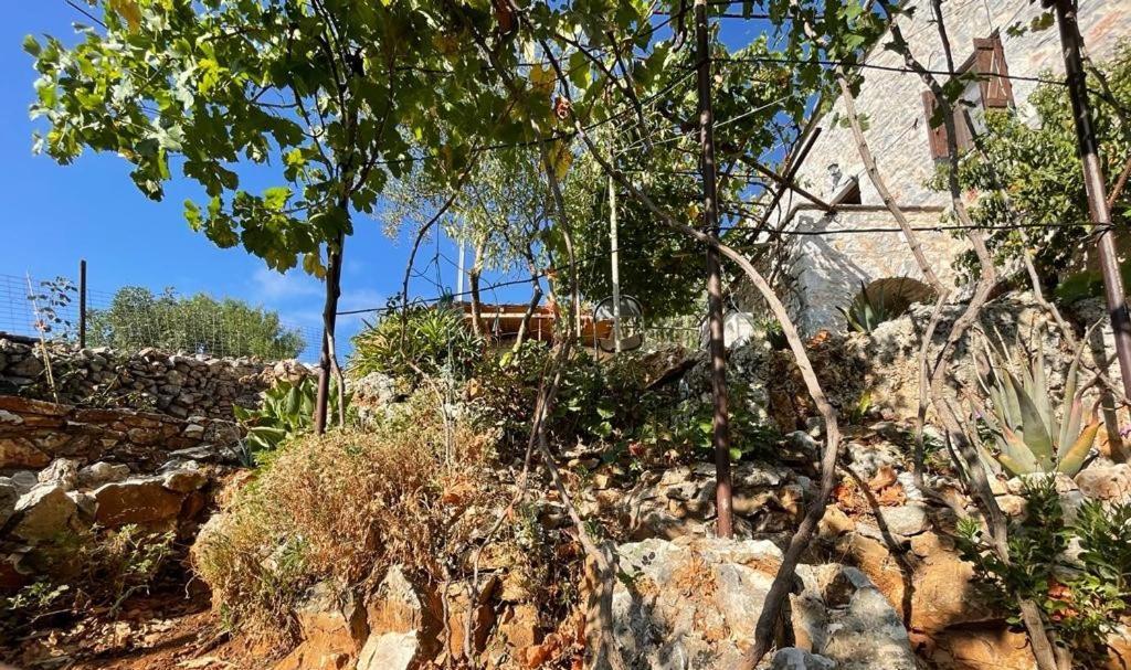 Find Your Peace In A Traditional Country House!! Λάγια Εξωτερικό φωτογραφία